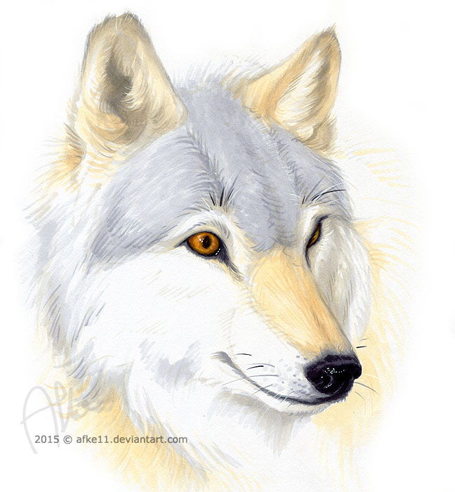 Blacksnake's Frostback (Howls for Holly)