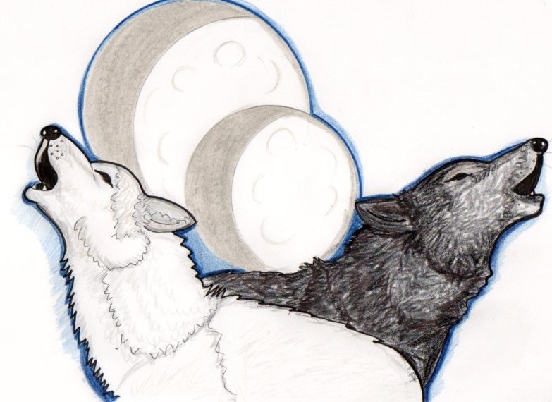 Moonmist & Cubsitter:  pack leaders RTH 2486 - 2490 (2013 Treasure Hunt)