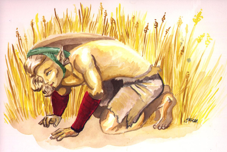 Pathmark in long grass