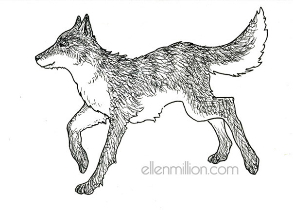Young Halfmoon (Evervale's wolf-friend)