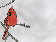 Cardinal - RTH 2014 Winter Quarter Award