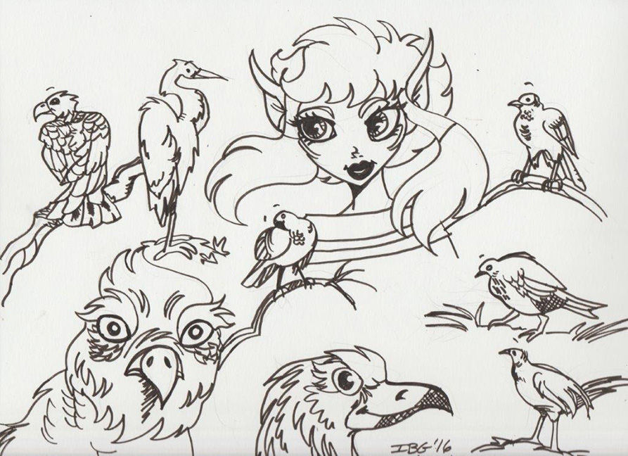 Birdwatching (illo for 