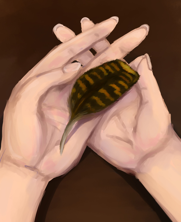 Grouse feather (2013 Treasure Hunt)