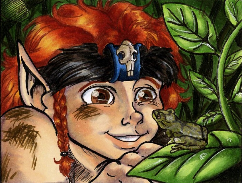 Dusk in RTH 846 (2013 Treasure Hunt)