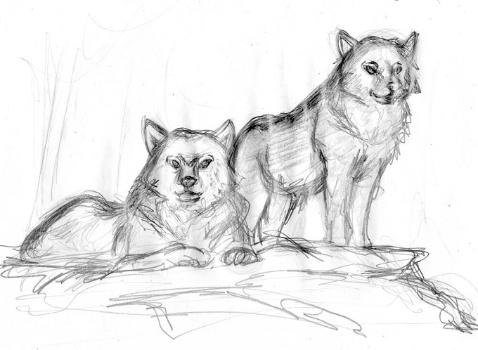 Moonmist & Cubsitter:  pack leaders RTH 2486 - 2490 (2013 Treasure Hunt)