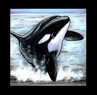 Submission Achievement Trophy: Sea-Wolf Award