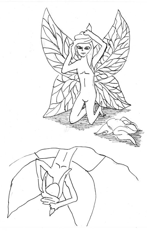 Flutterby (2013 Treasure Hunt)