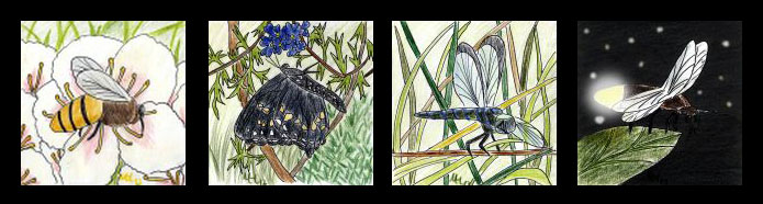 Submission Achievement Trophies: Preserver Submissions