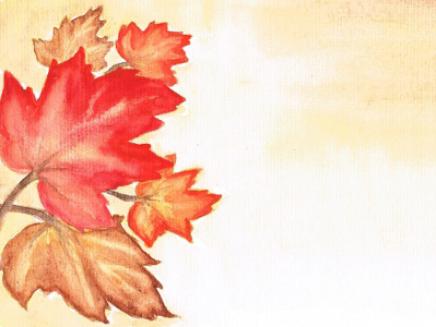 Maple - 2015 Fall Quarter Award