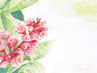 Lupin - 2015 Spring Quarter Award