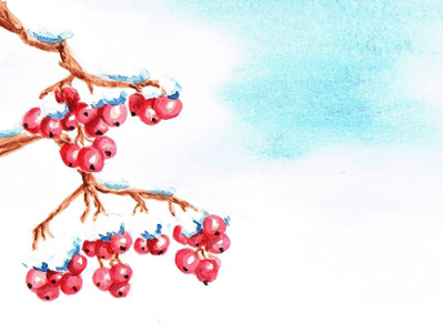 Winterberry - 2015 Winter Quarter Award