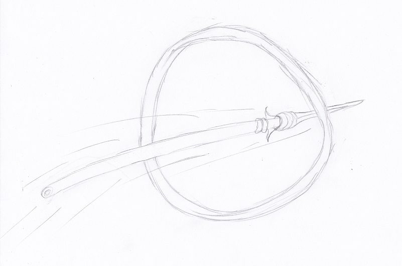 Poke-Hoop (2013 Treasure Hunt)