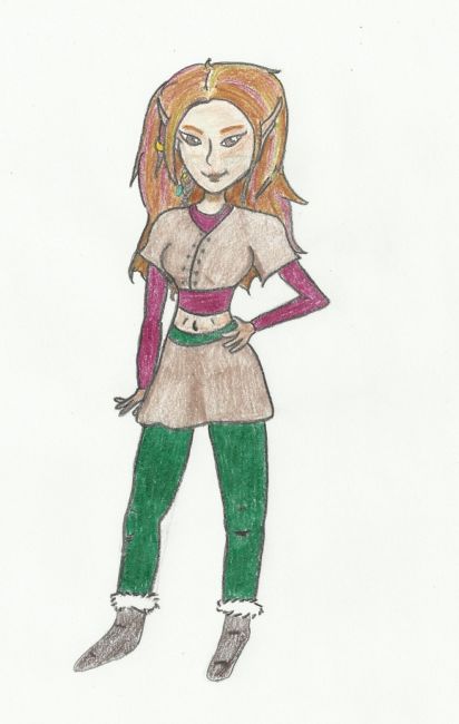 Chicory in autumn colors (RTH 2509)