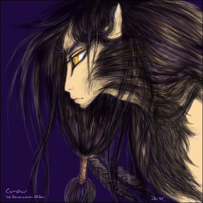 Crow (RTH's founding glider)