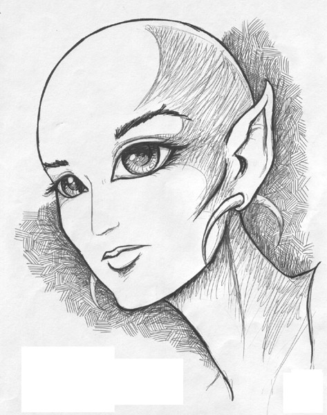 Ice, mother of Farscout & Goldspice (deceased)