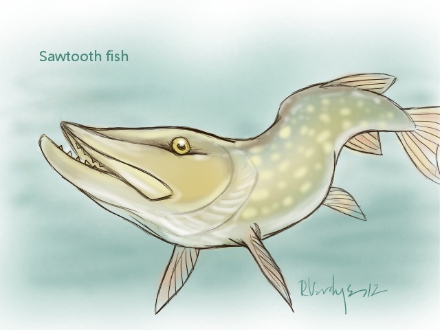 Sawtooth Fish (illustration for 