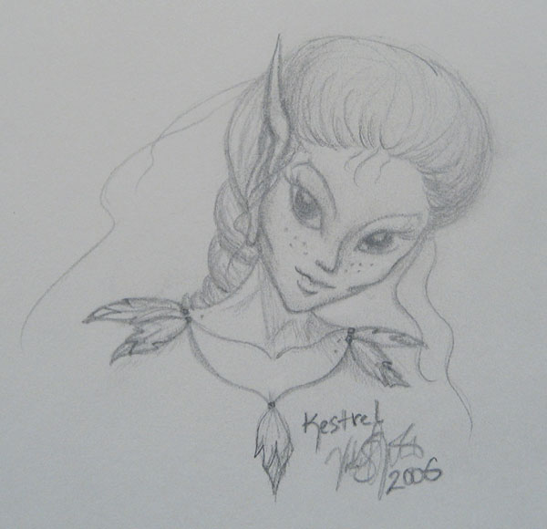 Kestrel (2006 Nov art trade)