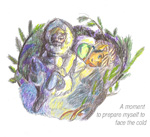 Honey & Moss at Northview Ridge (RTH 2511)