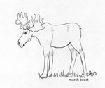 2007 Treasure Hunt:  Marshbeast bull