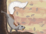 Squirrel - RTH 2013 Fall Quarter Award