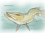Sawtooth Fish (illustration for "Watch Your Fingers") (2012 Treasure Hunt;)