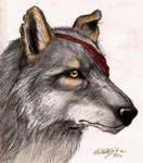 Beauty (Notch's wolf-friend)