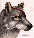 Thumb wolfpix beauty.jpg