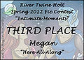 RTH-springfic12-third1.jpg